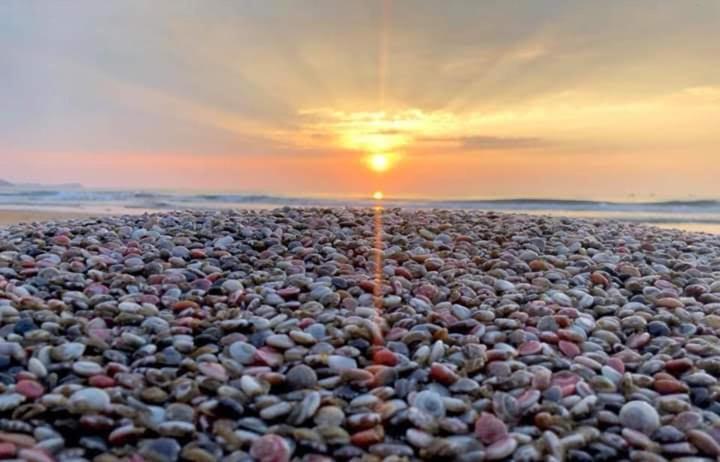 Suoi Nuoc Resort Mui Ne Bagian luar foto