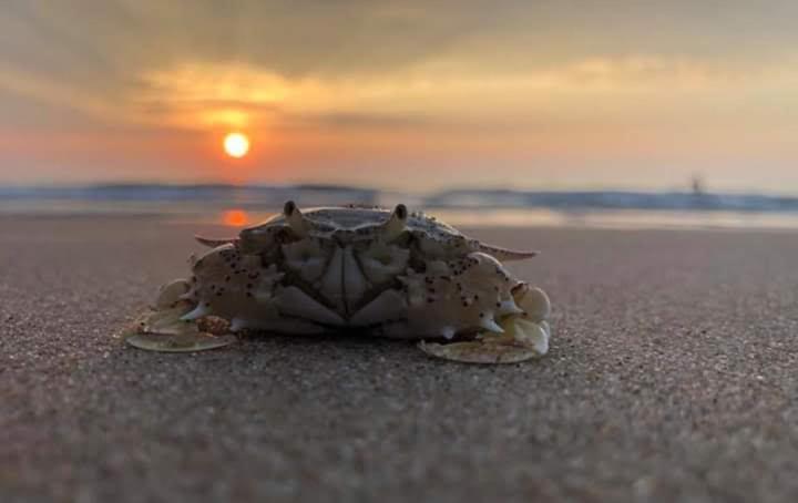 Suoi Nuoc Resort Mui Ne Bagian luar foto